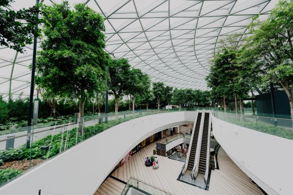 es una foto de un lugar urbano con un jardín sostenible