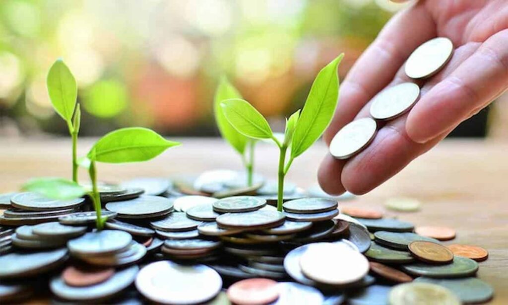 Cómo gestionar la tesorería empresa desde cero