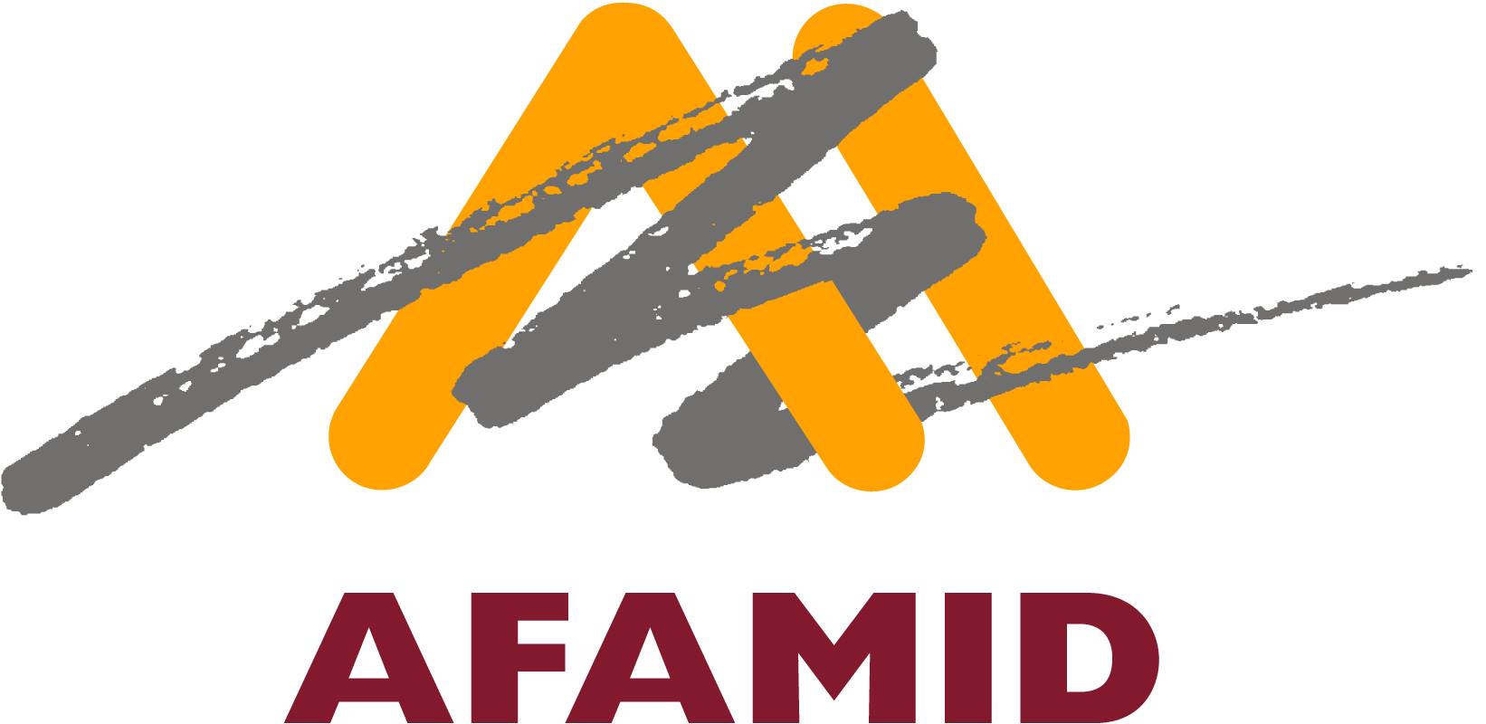 Formación para empresas asociadas de AFAMID