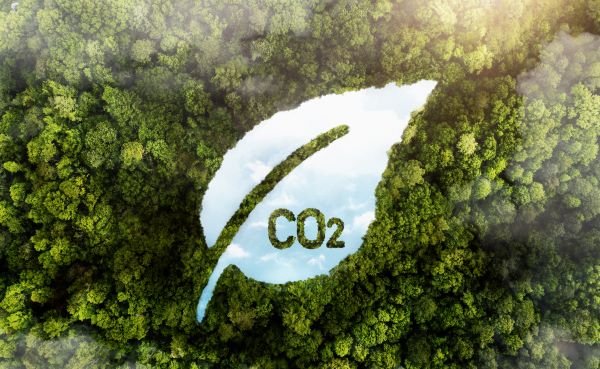 Curso de huella de carbono y sostenibilidad
